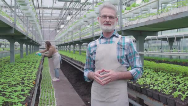 Exitoso agricultor masculino mirando a la cámara, satisfecho con el negocio de fitomejoramiento — Vídeos de Stock