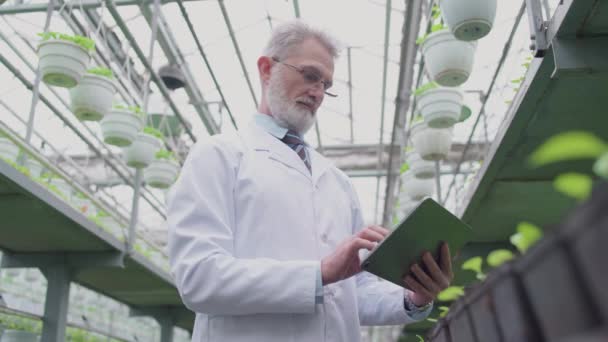 Biyoloji araştırmacısı tablet hakkında rapor hazırlıyor, seradaki bitkileri inceliyor. — Stok video
