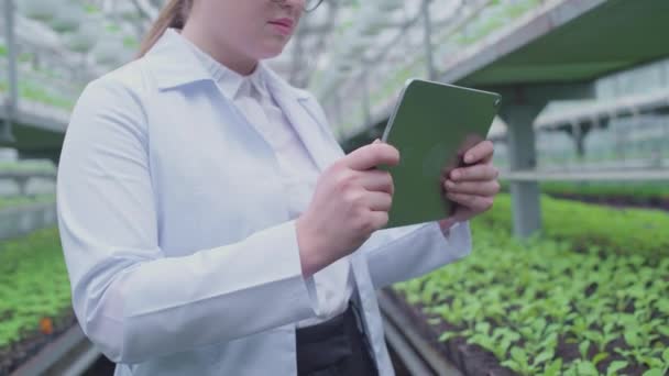 Genç biyoteknoloji mühendisi tablet üzerinde çalışıyor, bitkilerin büyümesini analiz ediyor. — Stok video