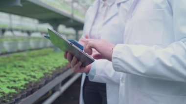 Tablet uygulaması kullanan sera erkek çalışanı, yüksek teknoloji tarım denetimi