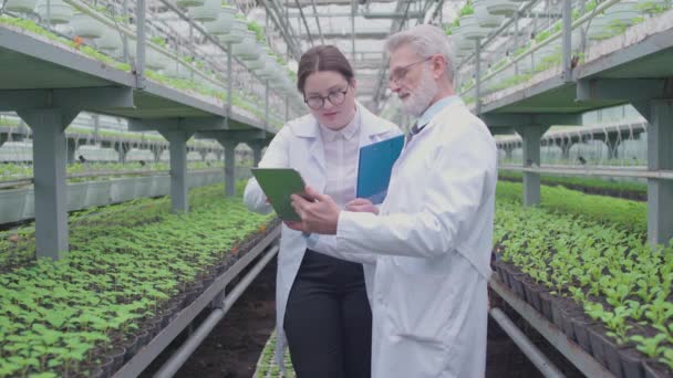 Especialistas em horticultura usando aplicação tablet em estufa, biotecnologia — Vídeo de Stock
