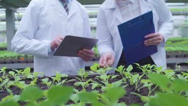 Botánicos examinando plantas en invernadero, tomando notas, escribiendo en la tableta, el trabajo — Vídeos de Stock