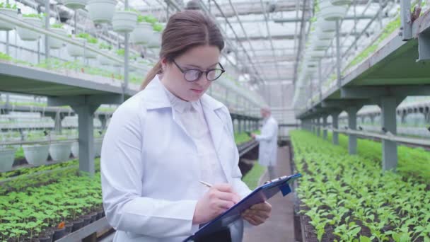 Эксперт по садоводству готовит доклад, анализирует рост цветов в теплице — стоковое видео