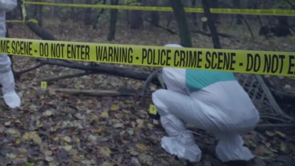 Policja bada miejsce zbrodni w parku, prowadzi śledztwo w sprawie morderstwa, zbiera dowody — Wideo stockowe