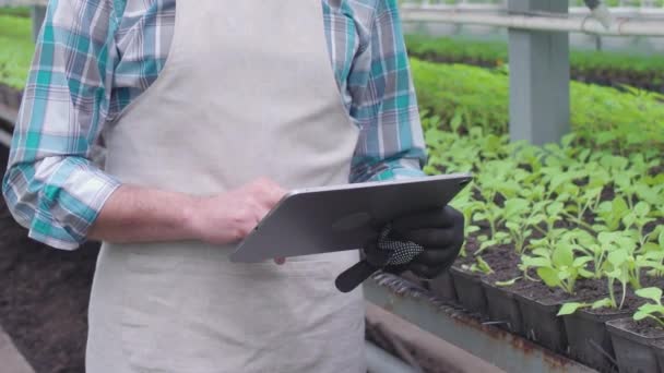 Agricultor iniciando moderno sistema inteligente de estufa em tablet, usando aplicativo móvel — Vídeo de Stock