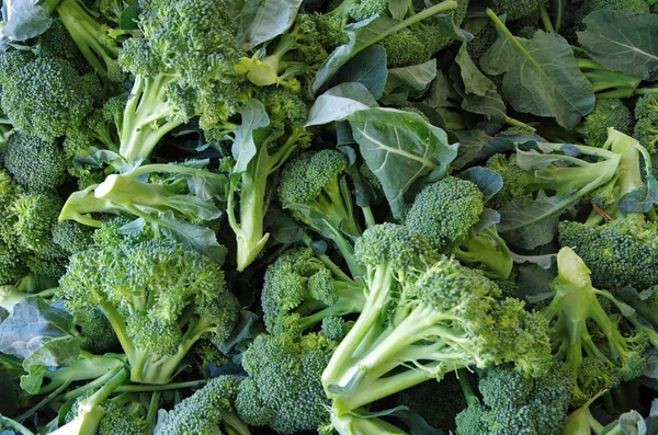  Taze kesilmiş brokoli başkanları