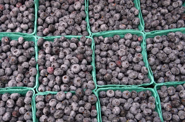 Blueberry kartonger mönster — Stockfoto