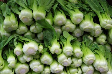 bok choi bebeğim 