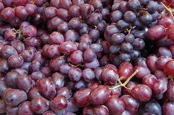 Bunches of  reddish purple grapes