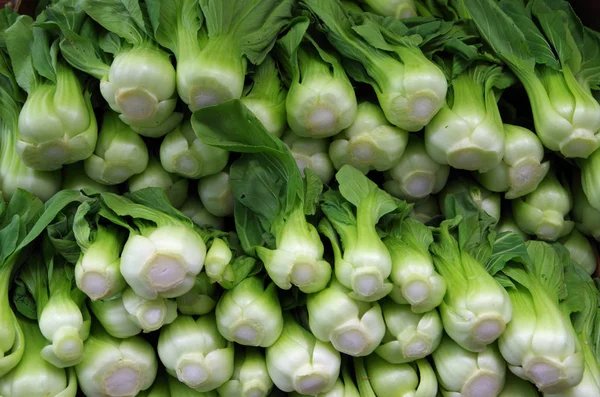 bok choi bebeğim 