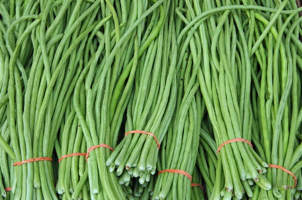 Chinese groene lange bonen — Stockfoto