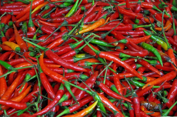  Kırmızı biber ve yeşil kaynaklanıyor