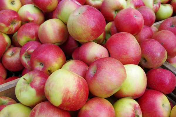 Parlak keskin kırmızı ve sarı elmalar