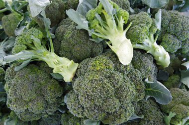 Brokoli başkanları için Pazar kazıklı
