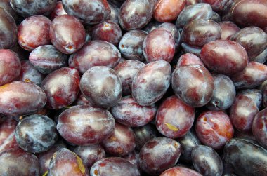 İtalyan Erik Erik closeup kazıklı