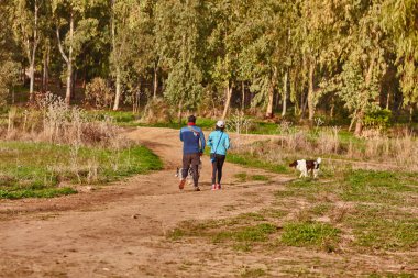 Ganey Aviv - 02 Aralık 2016: onların köpekleri ile birkaç yürür