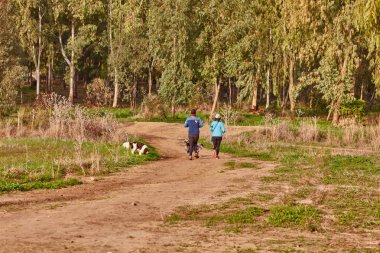 Ganey Aviv - 02 Aralık 2016: onların köpekleri ile birkaç yürür