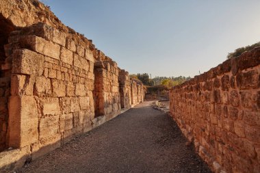 Kalesi'nde Golan, Israel