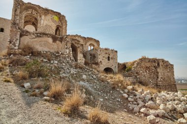 Migdal tzedek ruins, Israel clipart