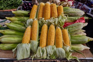 Mısır pazarında Satılık