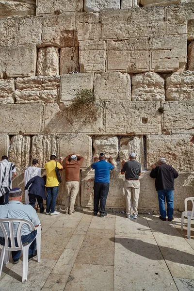 Jerusalém - 15 de novembro de 2016: Homens rezando no "Muro das Lamentações" " — Fotografia de Stock