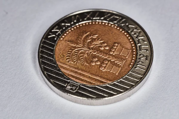 Moneta da 10 shekel macro isolata su superficie bianca — Foto Stock