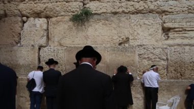   Jerusalem - 15 Kasım, 2016: dua Kudüs'te Yahudi