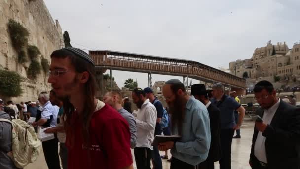 Jerusalem - 15. November 2016: jüdisches Gebet in jerusalem — Stockvideo