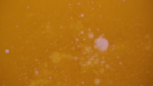 Abstract: Close-up on the surface of boiling ghee oil being prepared — Stock Video