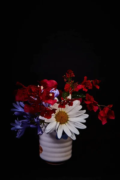꽃다발-다양 한 꽃, 검은 배경으로 촬영 하는 스튜디오 — 스톡 사진