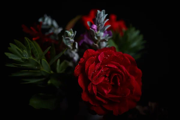 Ramillete - variedad de flores, plano de estudio con fondo negro —  Fotos de Stock