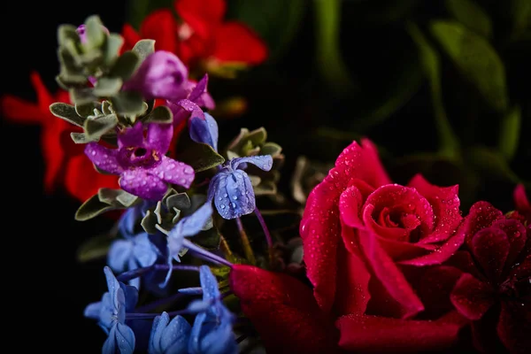 Strauß - Vielfalt der Blumen, Studioaufnahme mit schwarzem Hintergrund — Stockfoto