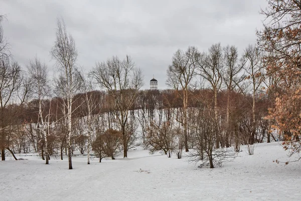 Церковь в Коломенском парке, Москва — стоковое фото