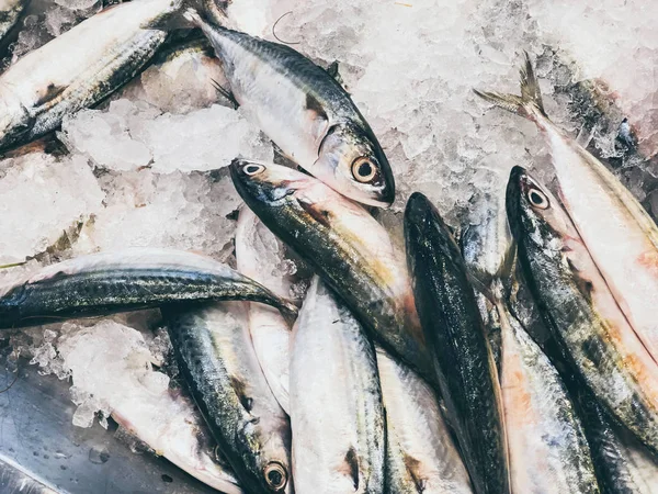 Świeże mrożone ryby sprzedawane w supermarketach — Zdjęcie stockowe