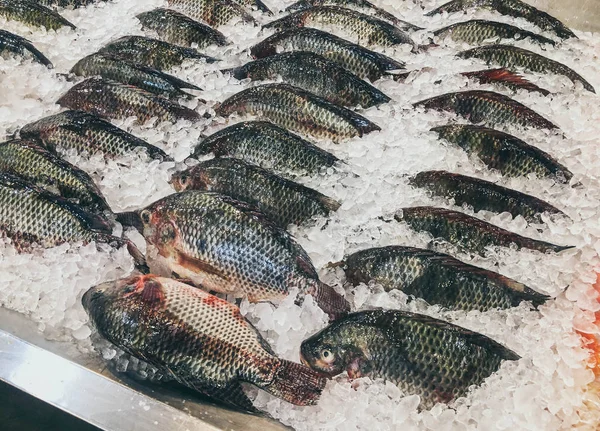 Rij verse bevroren vis verkocht in supermarkten — Stockfoto