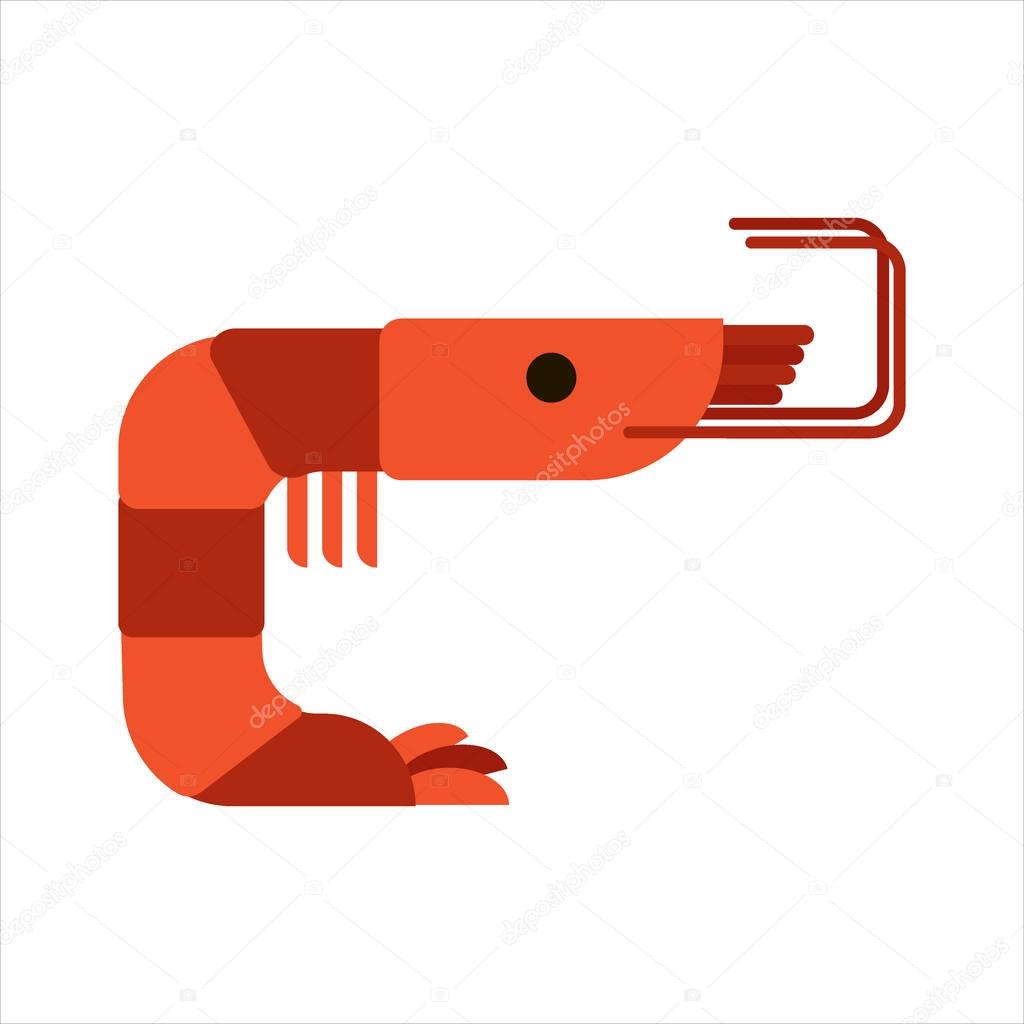 Flat shrimp isolated on white background - vector illustration. Prawn icon, seafood