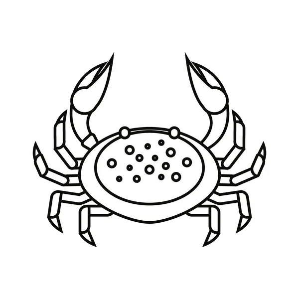 Cangrejo plano de línea fina aislado sobre fondo blanco - ilustración vectorial. Icono animal de agua de mar. Cáncer de zodíaco . — Vector de stock