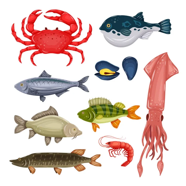 Fruits de mer sertis de crabe, de poisson, de moules et de crevettes isolés sur fond blanc. Design pour menu restaurant, marché. Créatures marines dans un style plat - illustration vectorielle — Image vectorielle