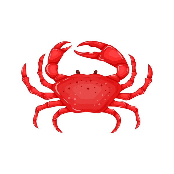 Caranguejo vermelho plano isolado sobre fundo branco - ilustração vetorial. Ícone de animal de água do mar com garras. Concepção de produtos de frutos do mar — Vetor de Stock