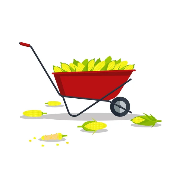 Vector yellow corn in red wheelbarrow, flat style concept isolated on white background. Ripe vegetable, corncobs, farming design elements — Stock Vector