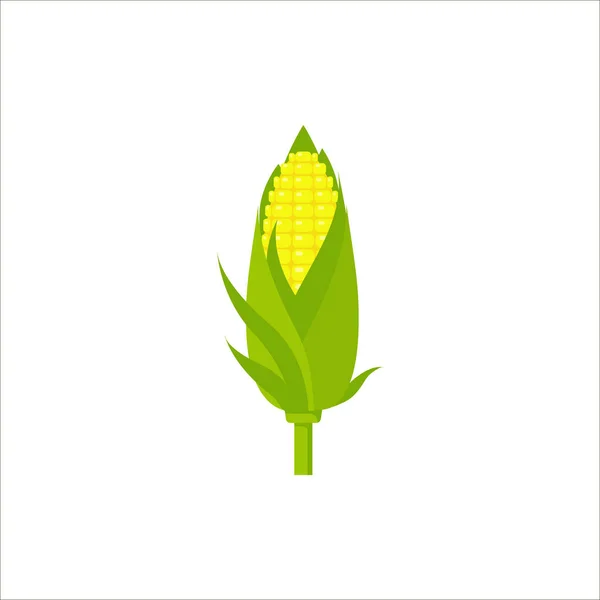 Vector yellow corn in flat style isolated on white background. Ripe vegetable, corncobs, farming harvesting design elements — Stock Vector