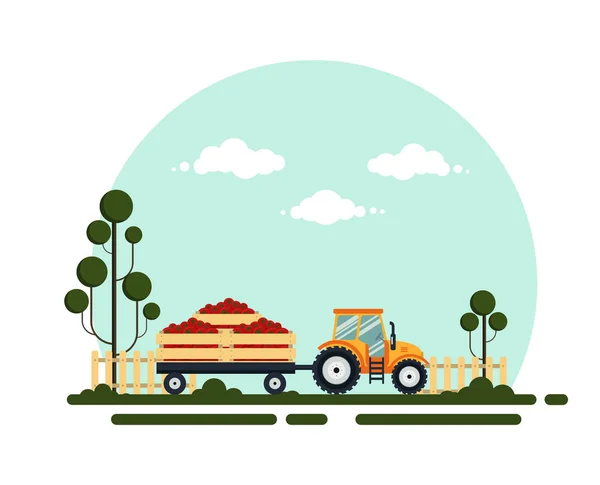 Tractor plano rojo con un carro de tomate. La maquinaria agrícola transporta para la granja con vagetables - ilustración vectorial. Paisaje agrícola . — Archivo Imágenes Vectoriales