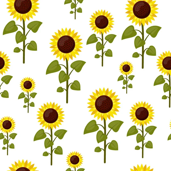 Modèle sans couture tournesols dessin animé isolé sur un fond blanc. Agriculture d'été illustration vectorielle de style plat — Image vectorielle