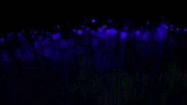 Yanıp sönen ışıklar hareketli