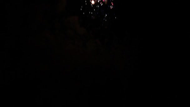 Fuochi d'artificio luminosi nel cielo notturno — Video Stock