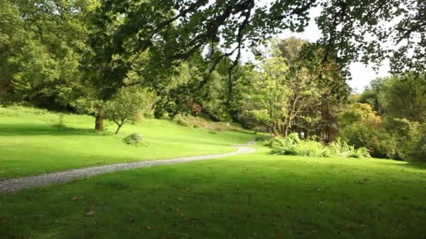 Verde naturaleza rural paisaje — Vídeo de stock