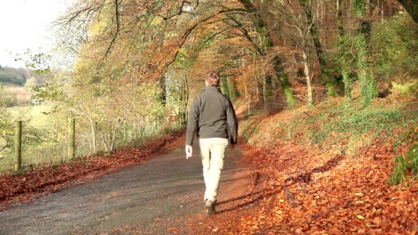 Uomo Che Cammina Lungo Una Bella Strada Durante Stagione Autunnale — Video Stock