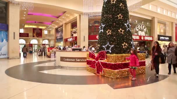 Tidsinställd människor shopping innan jul — Stockvideo
