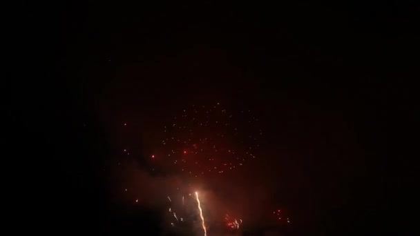 Helder vuurwerk in de nachtelijke hemel — Stockvideo