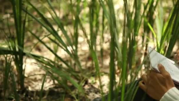 Orman defterde yazılı kız — Stok video
